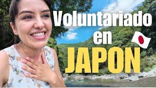 Así fue mi Voluntariado en Japón con Worldpackers