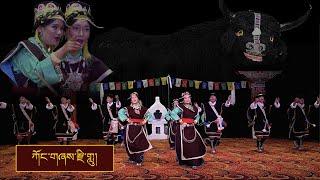 ཀོང་གཞས་རྫི་གླུ། || YARKYI 2023 || TIPA