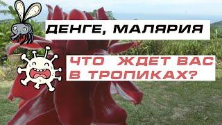 ДЕНГЕ,  МАЛЯРИЯ - что   ждет вас в ТРОПИКАХ