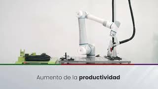 ¿Cómo utilizar robots colaborativos para la industria automotriz con DOBOT Family?