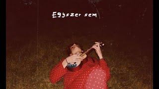 Vass Geri - Egyszer sem (Lyrics Video)