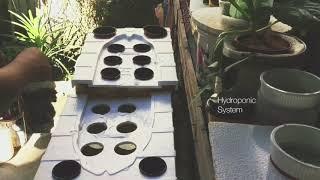 SNAP Hydroponics