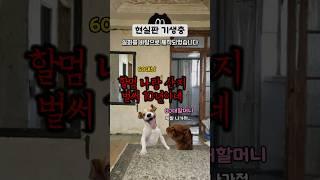 내 집에 모르는 사람이 산다