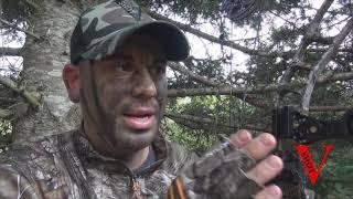 Ontario Bear Hunt - Vital Shot Productions