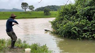 Era de não acreditar que tinha peixe tão grandes assim, pescaria de tilápias e traíras!!!