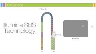 Intro to Sequencing by Synthesis: Industry-leading Data Quality