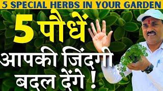 5 पौधें आपकी जिंदगी बदल देंगे || 5 Special Herbs in your Garden