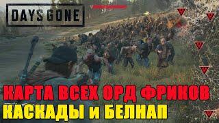 Days Gone карта орд/days gone все орды КАСКАДЫ/days gone все орды БЕЛНАП/Days Gone карта мира!!!