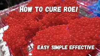 How To CURE Roe for Chinook and Coho Salmon. Easy, Simple, Effective! Vedder River Salmon Fishing