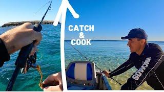 FIRST SOLO TINNY CATCH AND COOK MISSION  - Was it Successful?