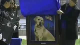 Part 1: 911 Port Authority K9 Unit Officer Lim & Sprig 2003