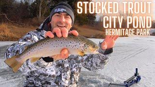 Hermitage Lake Ice Fishing Rainbow Trout and Brown Trout Edmonton