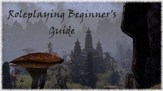 TESO Roleplaying Beginner's Guide - Part 1