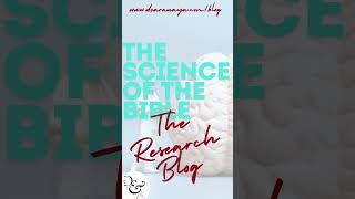 Where is Heaven - Dear Anaya | The Blog