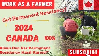 Farm Jobs in Canada with Free Visa Sponsorship I  Canada me Farmers Ki Demand 2024 LATEST!!