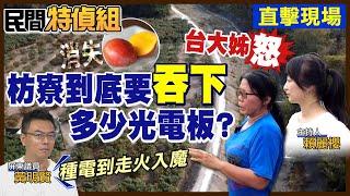 【全字幕】芒果園消失？噴除草劑蓋光電？等於判地S刑！黃明賢：種光電到走火入魔地步【#民間特偵組 159-2】 @PeopleJustice（CC字幕）