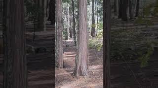 Wow! See an empty RV Campground 2024? Find places to camp in Seasons! @somedayistodayrv  #rvtravel