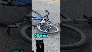 Why a Broken ‍️ Bike Chain Is an Absolute Nightmare 