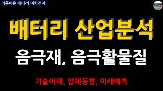 이차전지 음극재, 음극활물질 산업분석