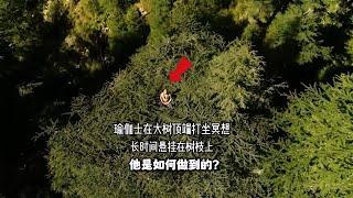 瑜伽士在大树顶端打坐冥想，长时间挂在树枝上，他是如何做到的？