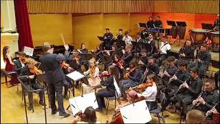 Fruhlingsstimmen - Orchestra Liceului De Arta din Sibiu -Sala Thalia din Sibiu-