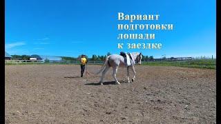 Подготовка к заездке  Лошадь Флора  Мешки  с песком