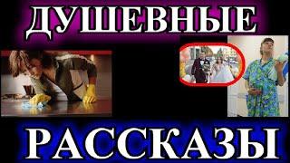 ДУШЕВНЫЕ РАССКАЗЫ️ПЕДАНТ️КУКОЛ ДЁРГАЮТ ЗА НИТКИ️ПЕРЕЕЗД ИЗ КОММУНАЛКИ️@TEFI РАССКАЗЫ