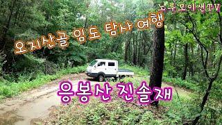오지산골 임도 탐사 여행// 응봉산 진솔재 //노지 차박캠핑!!