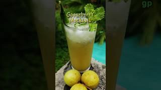 Gooseberry Mocktail | Healthy Refreshing Amla Drink #shorts #healthydrink #amla #honey #mocktail