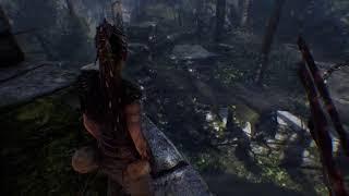 Hellblade Senua's Sacrifice Part 1#gaming #gemeinsamyoutube #hellblade