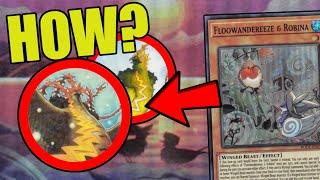 This FLOOWANDEREEZE Combo sets up APEX AVIAN and THUNDERBIRD | Yu-Gi-Oh! TCG