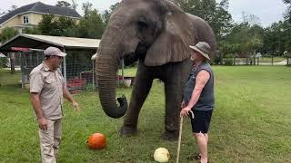 Doc Antle and his Elephant Bubbles