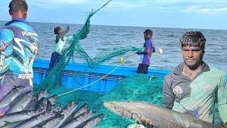 Wow !!! Fourth Day We Caught King Fish's in Deep Sea Fishing