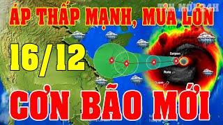 Tin bão Mới Nhất | Dự báo thời tiết hôm nay ngày mai 16/12 | dự báo thời tiết 3 ngày tới#thoitiet