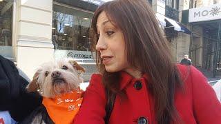 All For Animals TV #44: Adoptapalooza Marks ASPCA 150th Anniversary