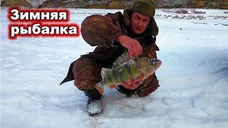 Окунь монстр. Зимняя рыбалка на Красноярском водохранилище.