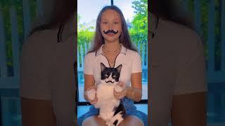 Усатая команда #юмор  #веселыекоты #котики #мемы #прикол #животные #коты #кот