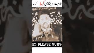 Hussain zindabaad