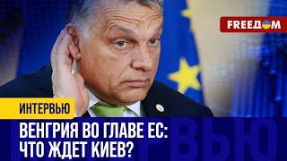 Лед ТРОНУЛСЯ: Орбан ВПЕРВЫЕ захотел в Киев. Зачем ему встреча с Зеленским?