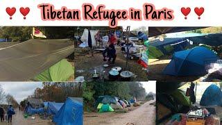 Tibetan New Arrival in Paris ll How Tibetan Refugee stays in  Tent (2019-2020)