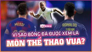 Vì sao BÓNG ĐÁ được xem là môn THỂ THAO VUA?