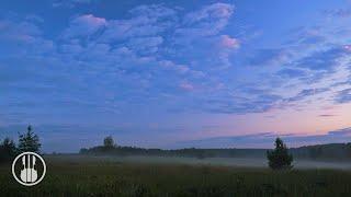 Foggy Morning in a Field on the Edge of the Village. Relaxing Sounds of Morning Nature.