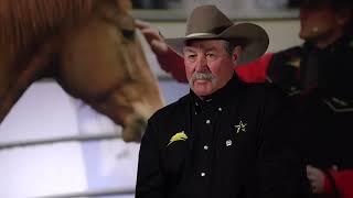 THE SECRET TO SUCCESS ACCORDING TO PAT PARELLI | Road to the Horse 2022