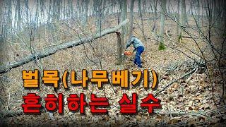 [4K]  나무 베기(벌목) 흔히 하는 실수 예방하는 법 : Husqvarna 340e chainsaw