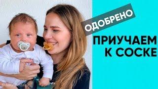 КАК БЫСТРО ПРИУЧИТЬ К СОСКЕ? Способ, который поможет на 100%. Ника Болзан