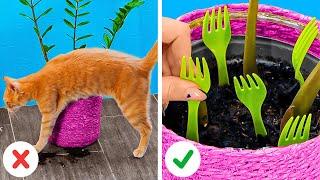 Useful Hacks and DIY Crafts for Cat Lovers