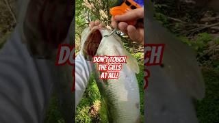How To Use A Hook Style Fishing Scale the Right Way