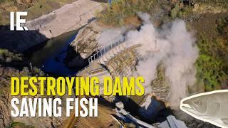 Klamath River Dam Removal: The $500M Fight to Save Salmon