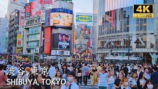 [ SHIBUYA ] 30 minutes walk at the most crowded place in Tokyo, Japan #shibuya #渋谷