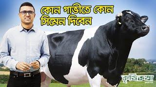 গাভীর জাত উন্নয়ন করবেন কিভাবে?!।গাভী পালন।কৃষিকথা